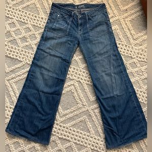 Hudson Jeans Size 29